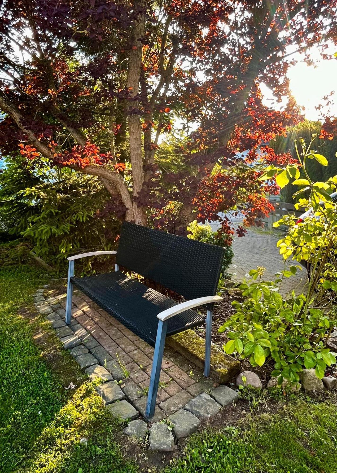 Ferienhaus Windmuehlenweg Mit Garten Spenge Exterior foto