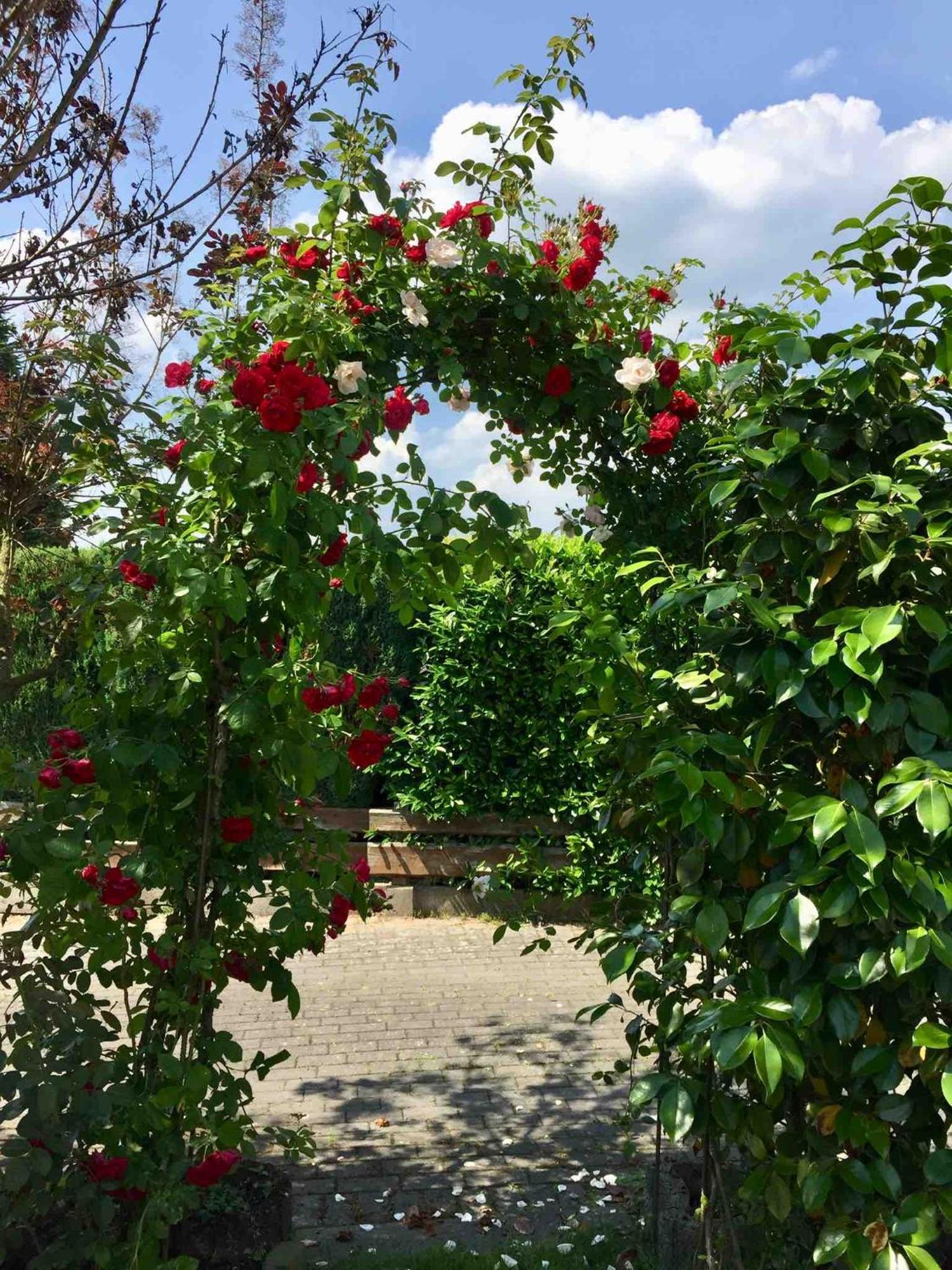 Ferienhaus Windmuehlenweg Mit Garten Spenge Exterior foto