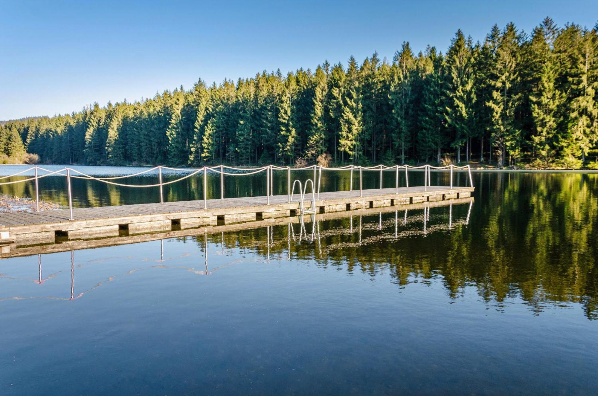 Ferienhaus Windmuehlenweg Mit Garten Spenge Exterior foto